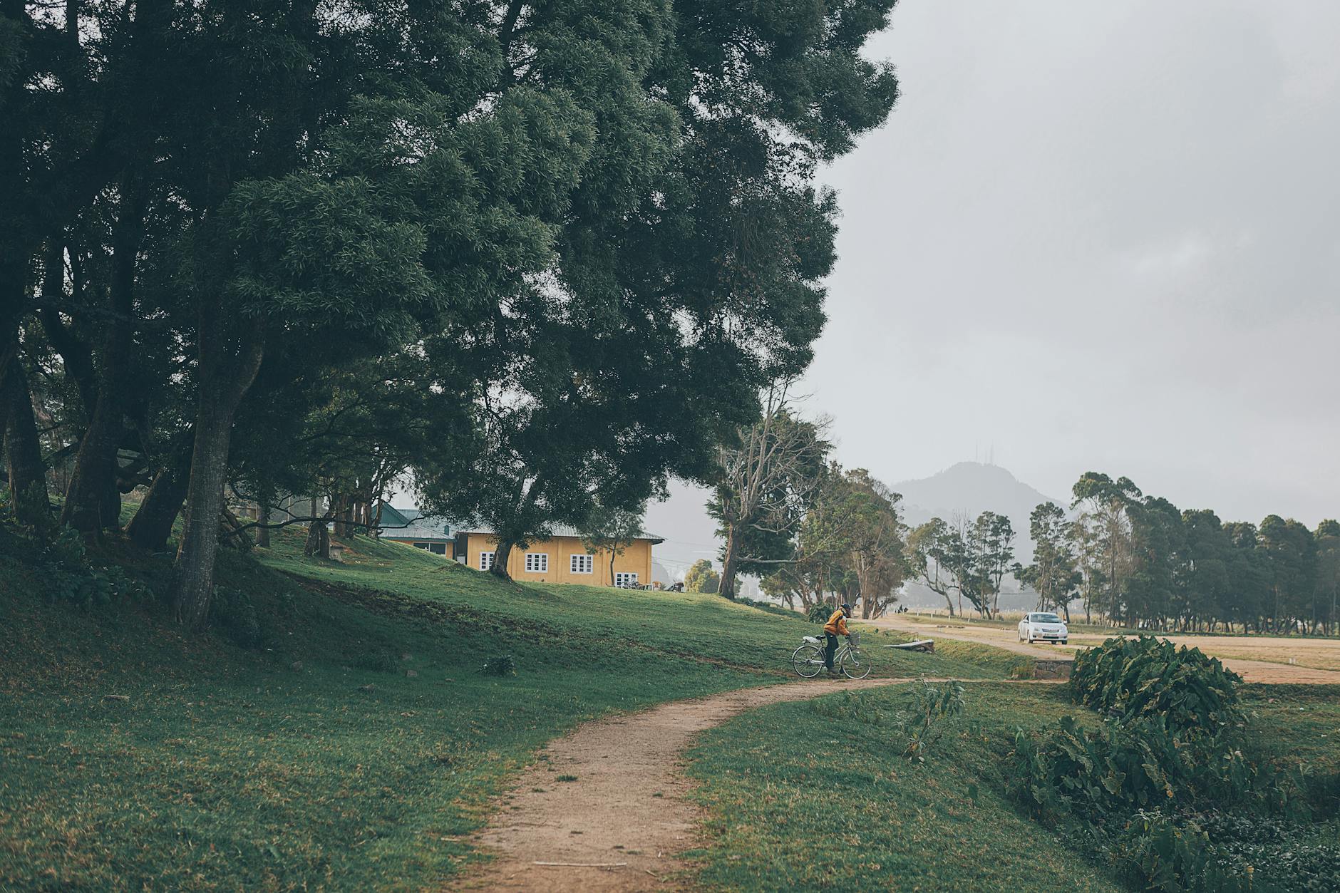Cyclist riding a lush green mountain road in Sri Lanka's misty hill country