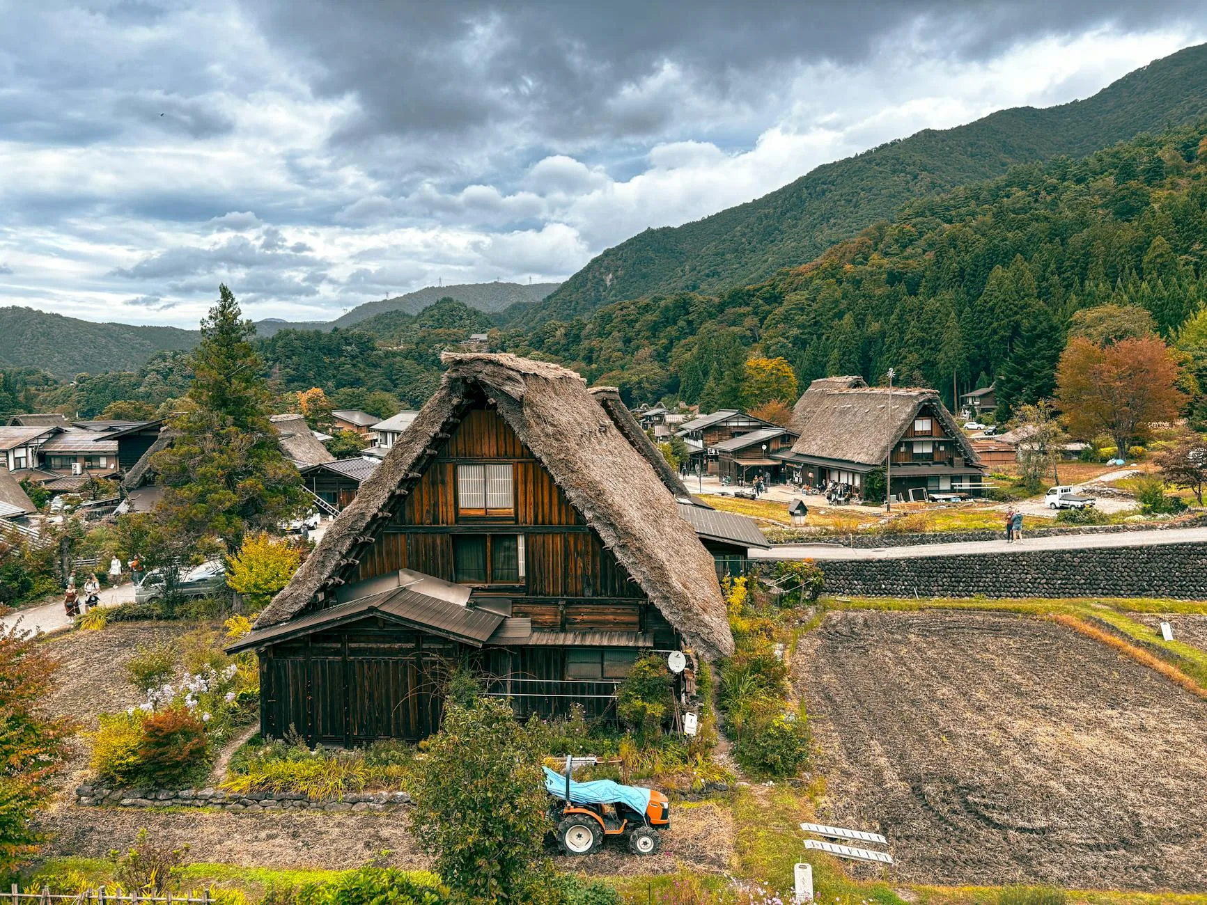 Mist-shrouded rice terraces cascade down a quiet Japanese mountainside at dawn