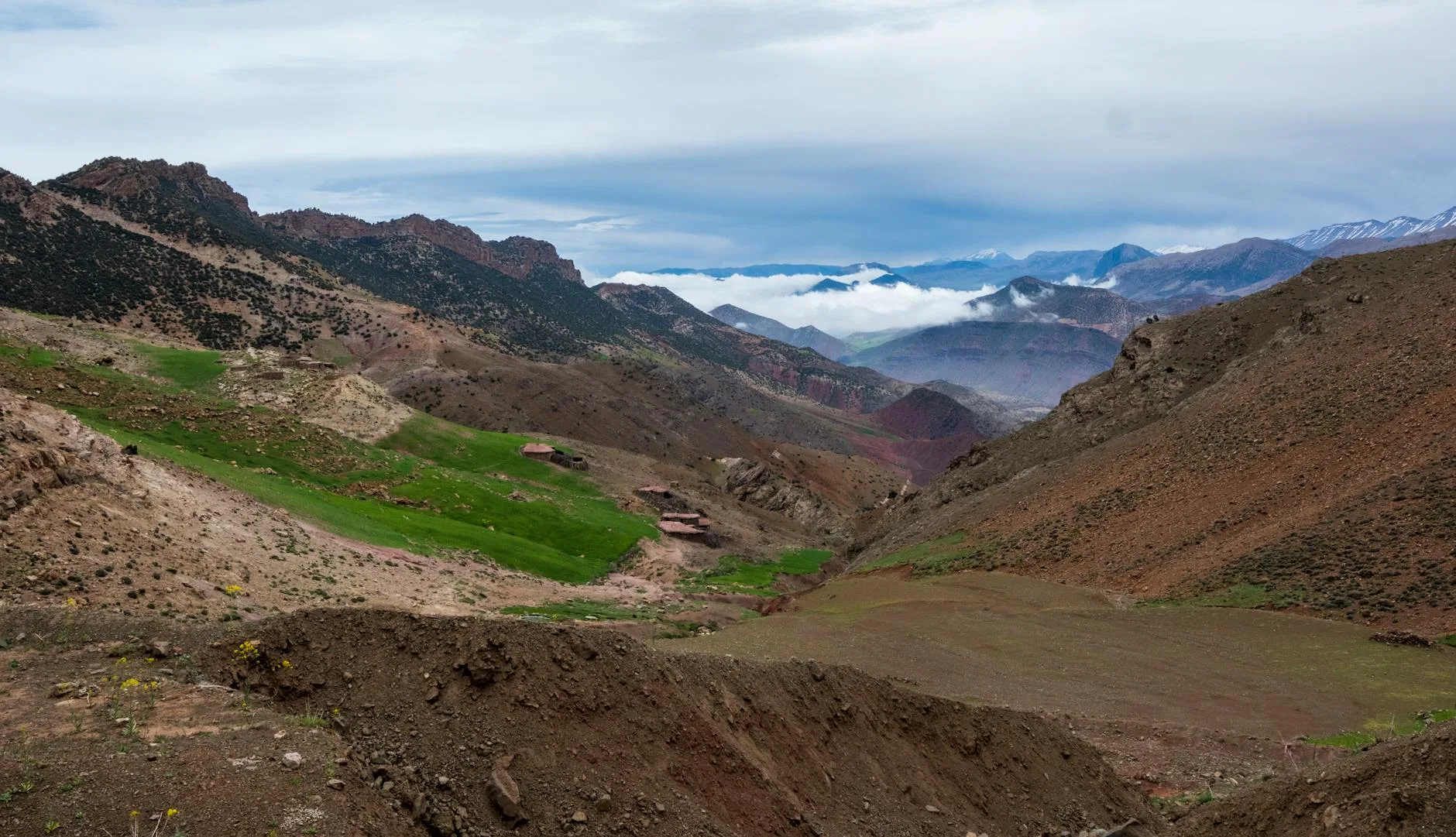 Rugged Atlas Mountain trail winding through cedar forests under a vast Moroccan sky