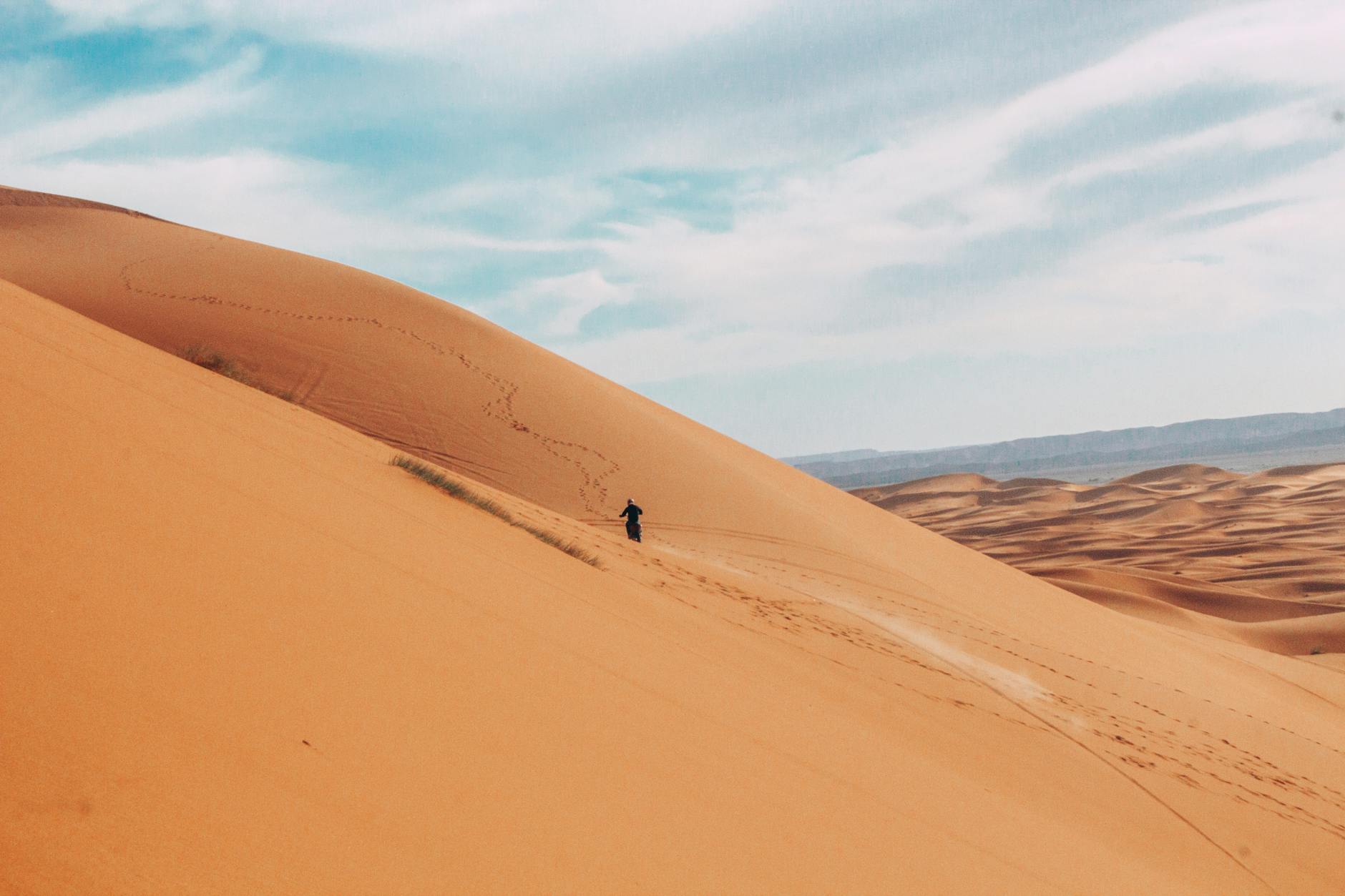 Camel caravan traversing vast golden Sahara dunes under a blazing desert sun
