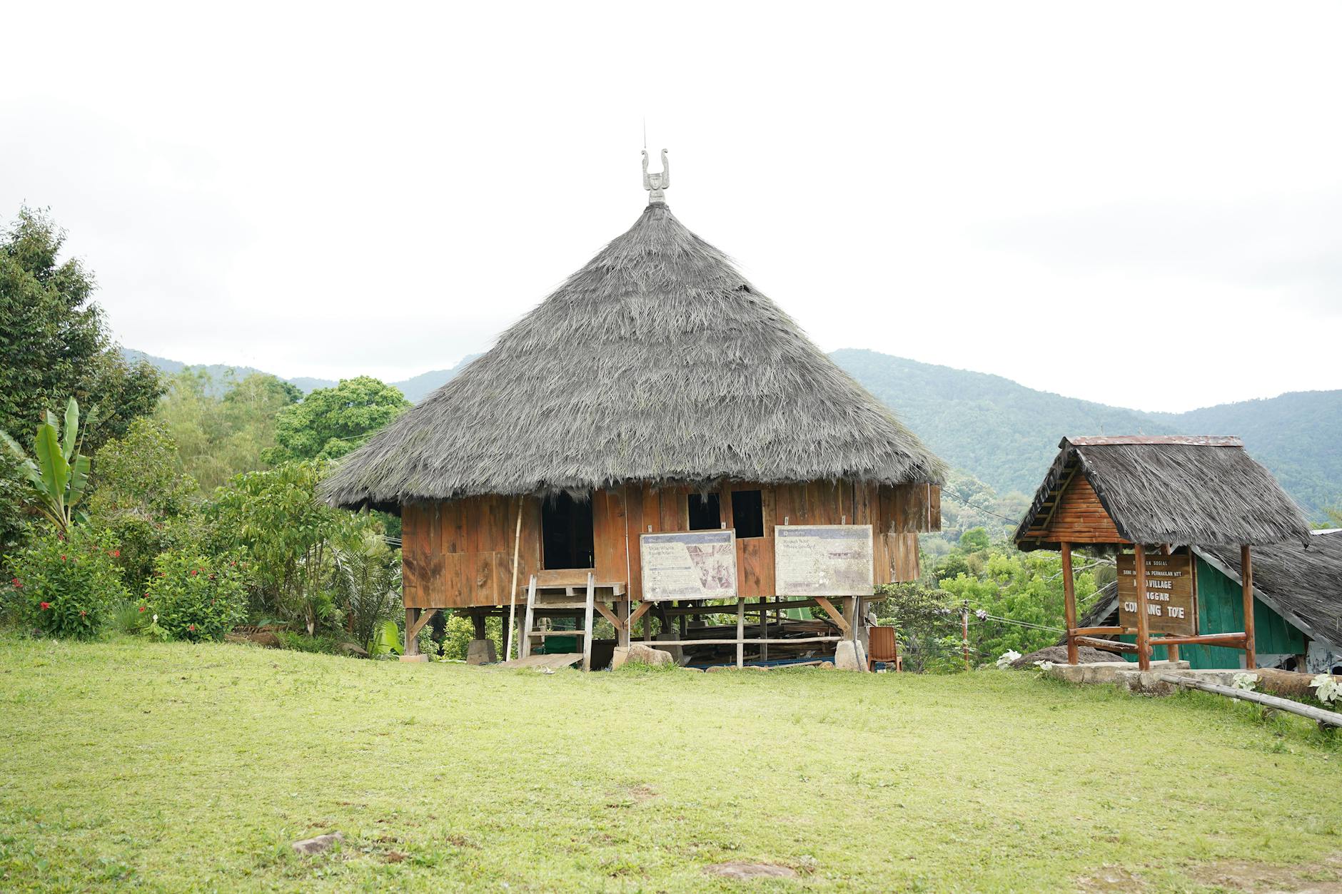 Wooden stilted house surrounded by lush rice paddies in rural Java at golden hour