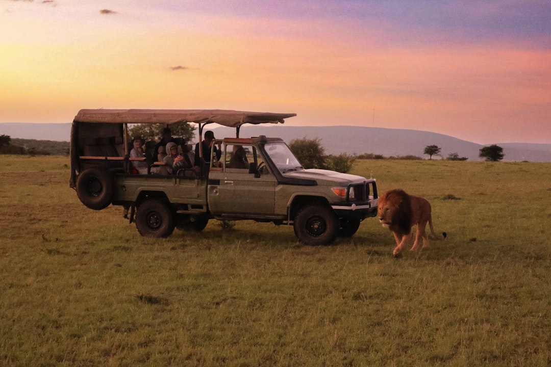 responsible wildlife safari kenya tips