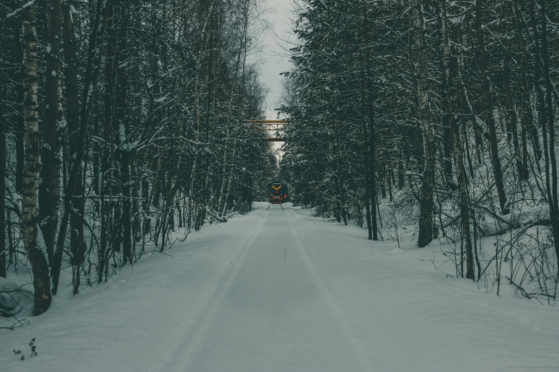 Trans-Siberian train crossing vast snowy Siberian wilderness at dusk