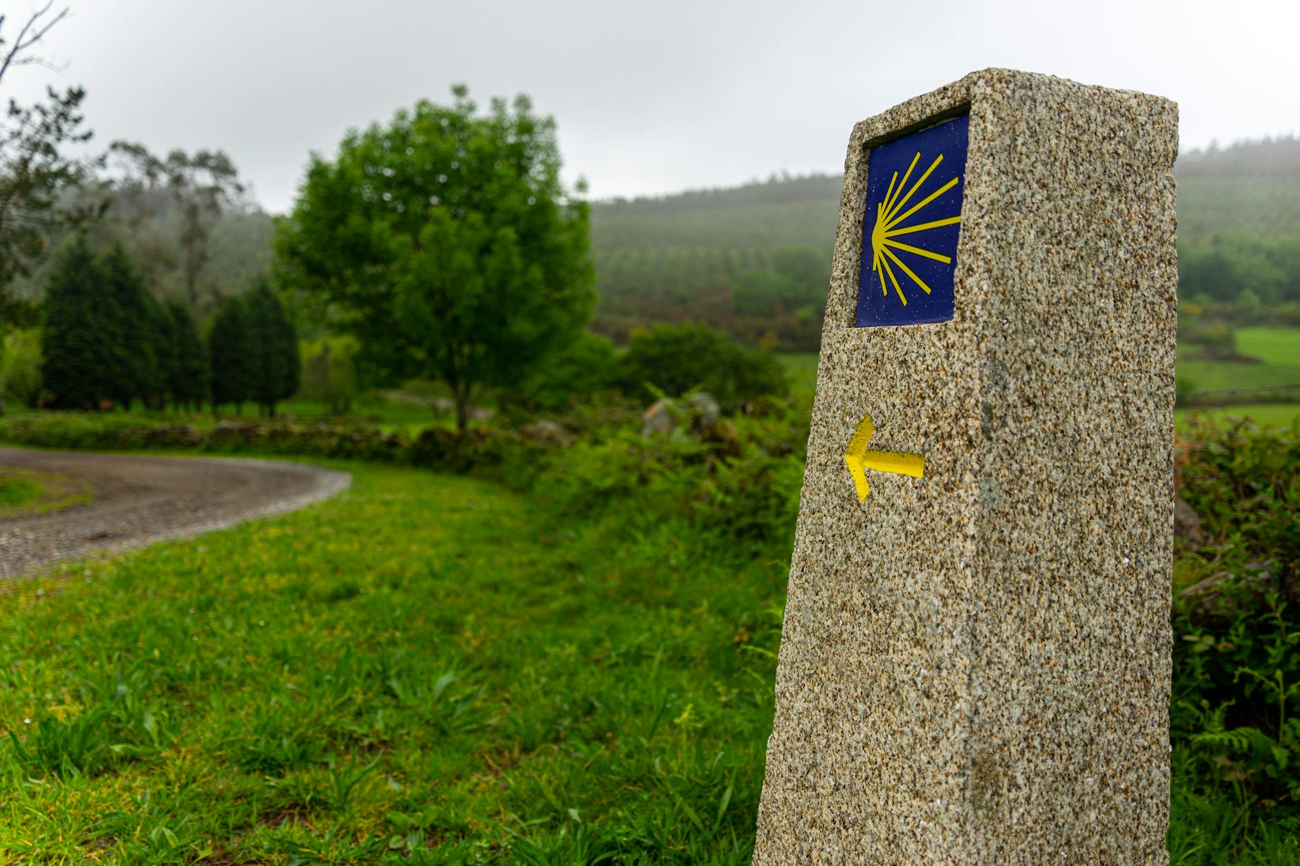 Worn stone path winding through misty green hills on the Camino de Santiago