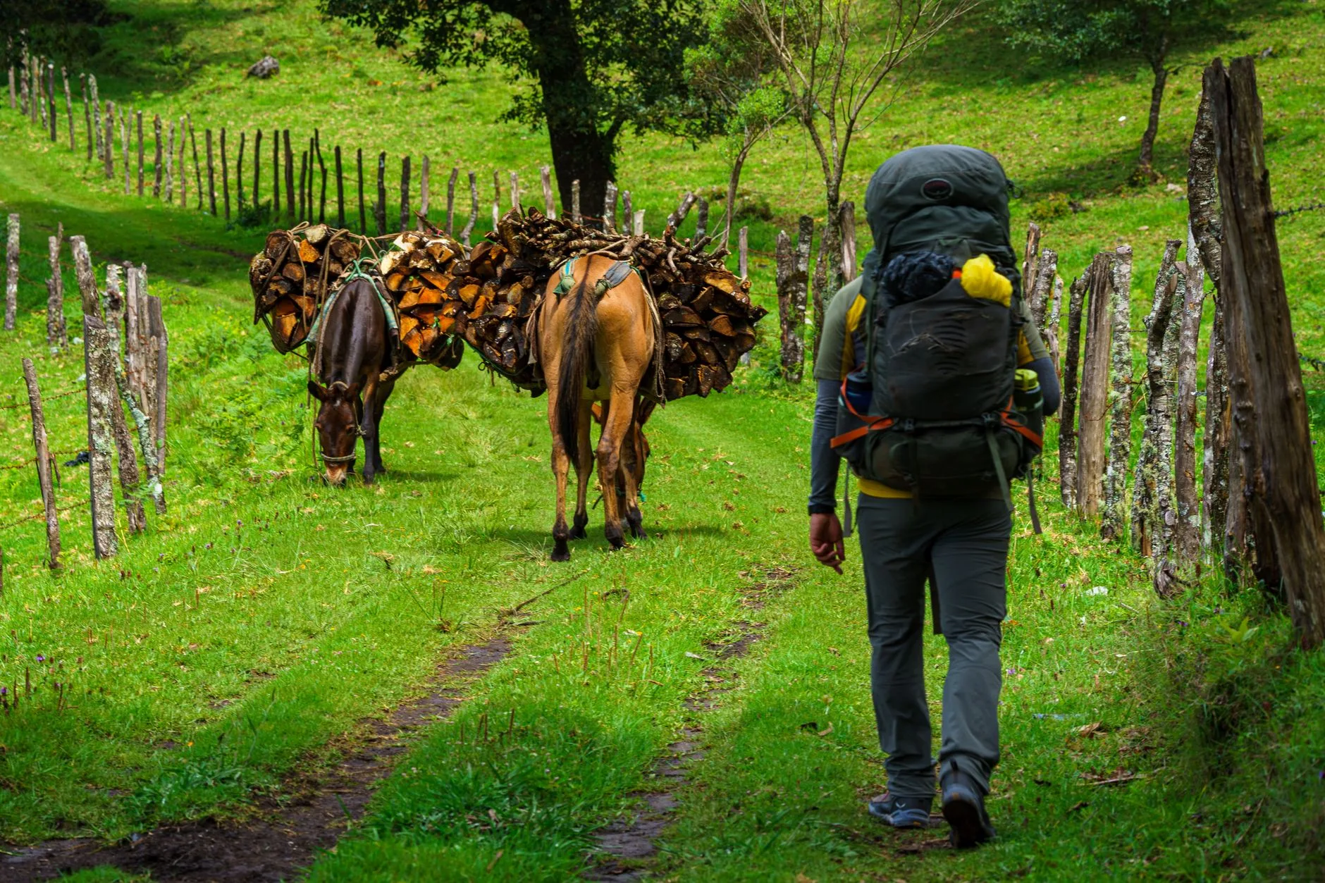 Dusty backpacker on a jungle trail with ancient Mayan ruins in the misty distance