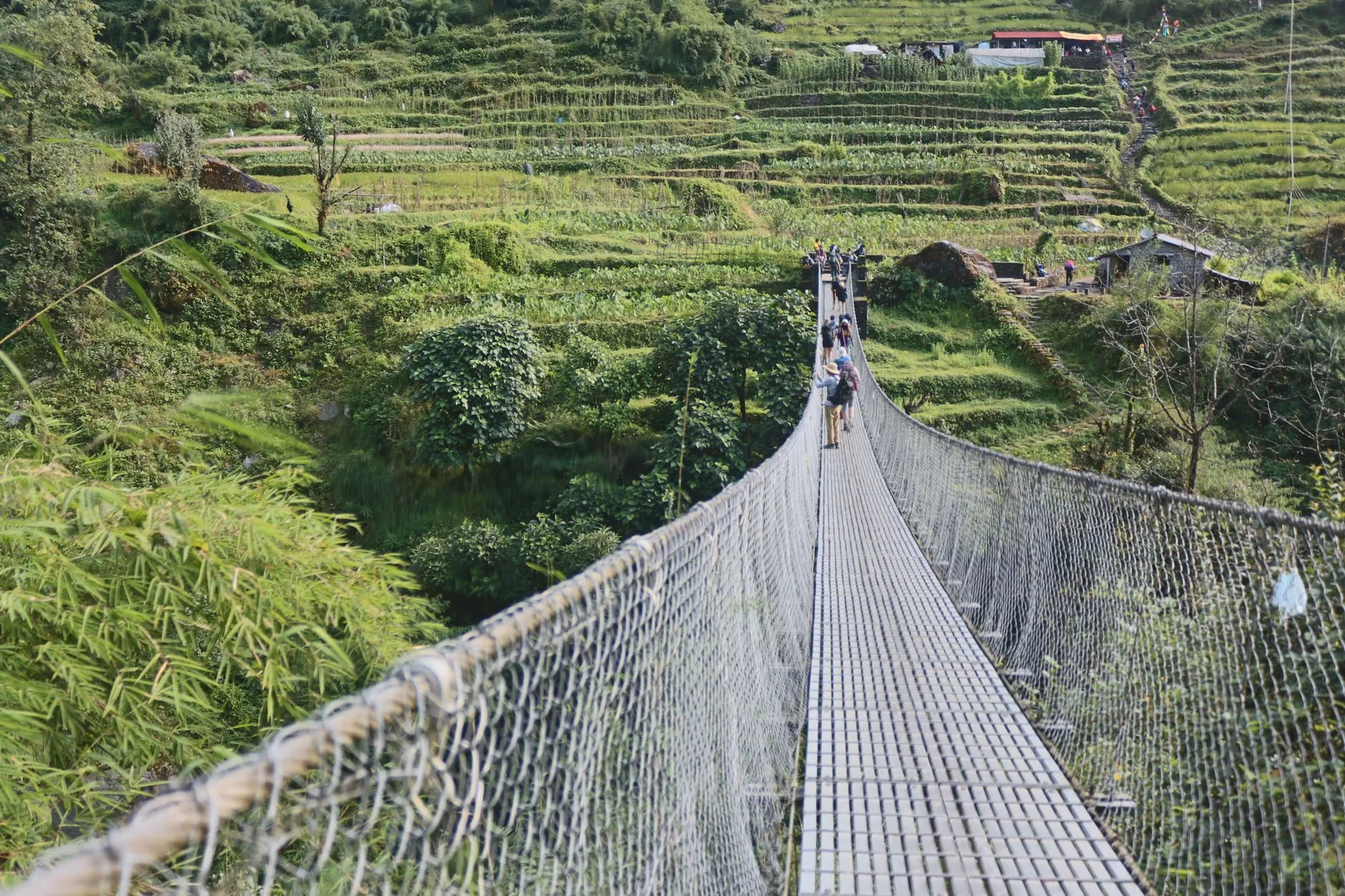 Dusty backpacker trail winding through terraced rice fields in rural Nepal