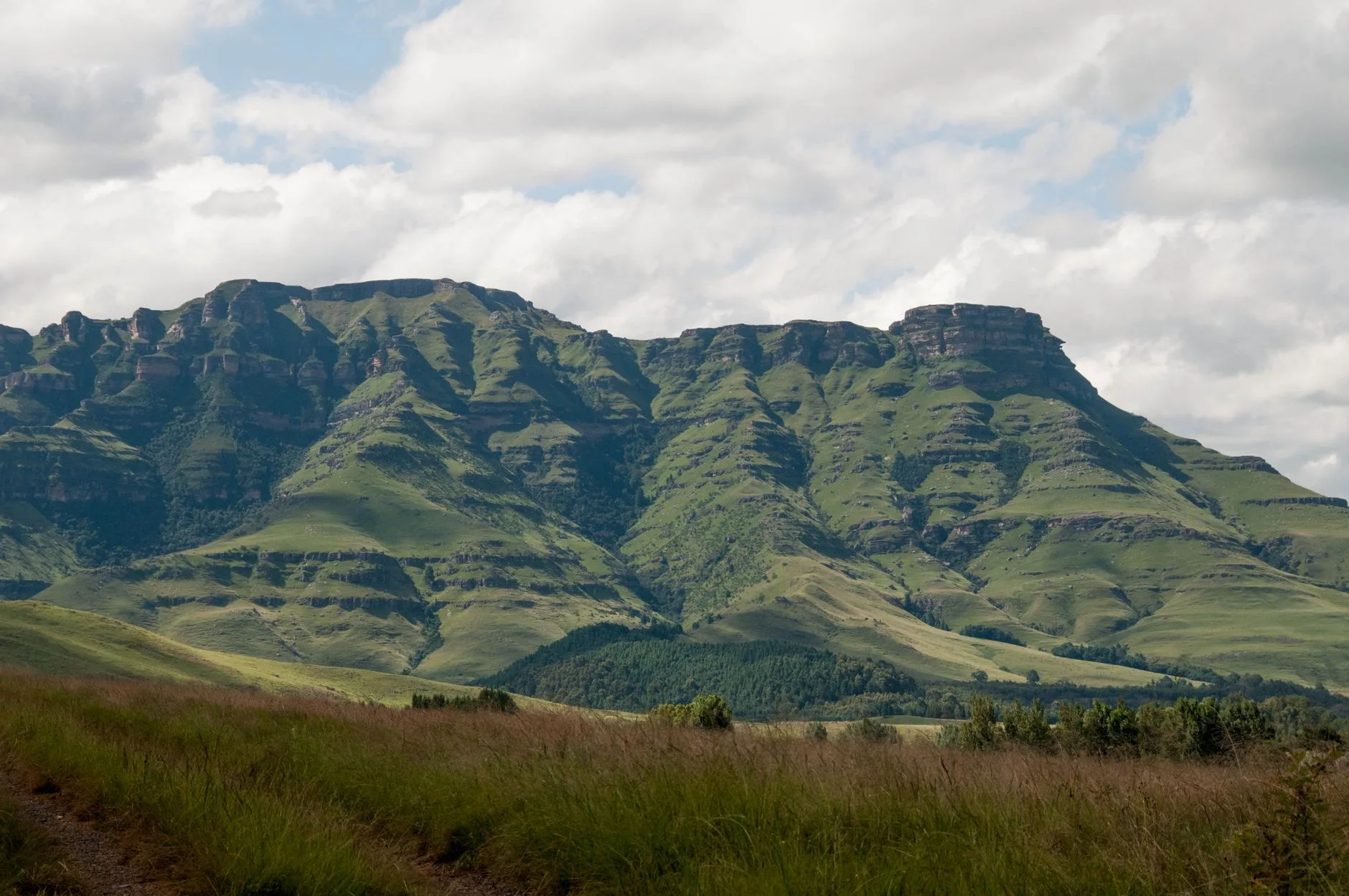 Dramatic basalt peaks of the Drakensberg rise above golden grasslands under a stormy sky.
