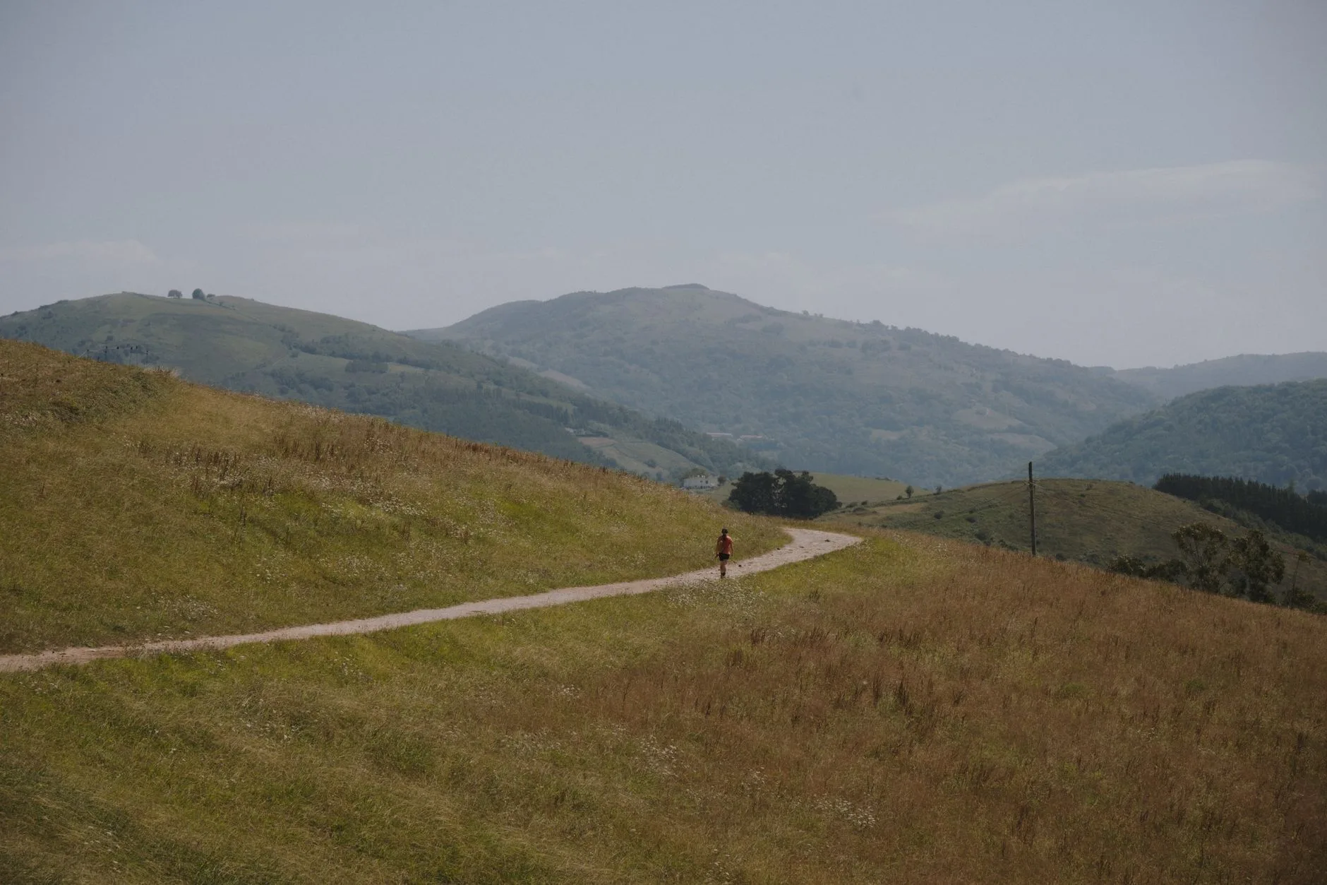 Hiker on a winding mountain trail overlooking green valleys in the European Alps