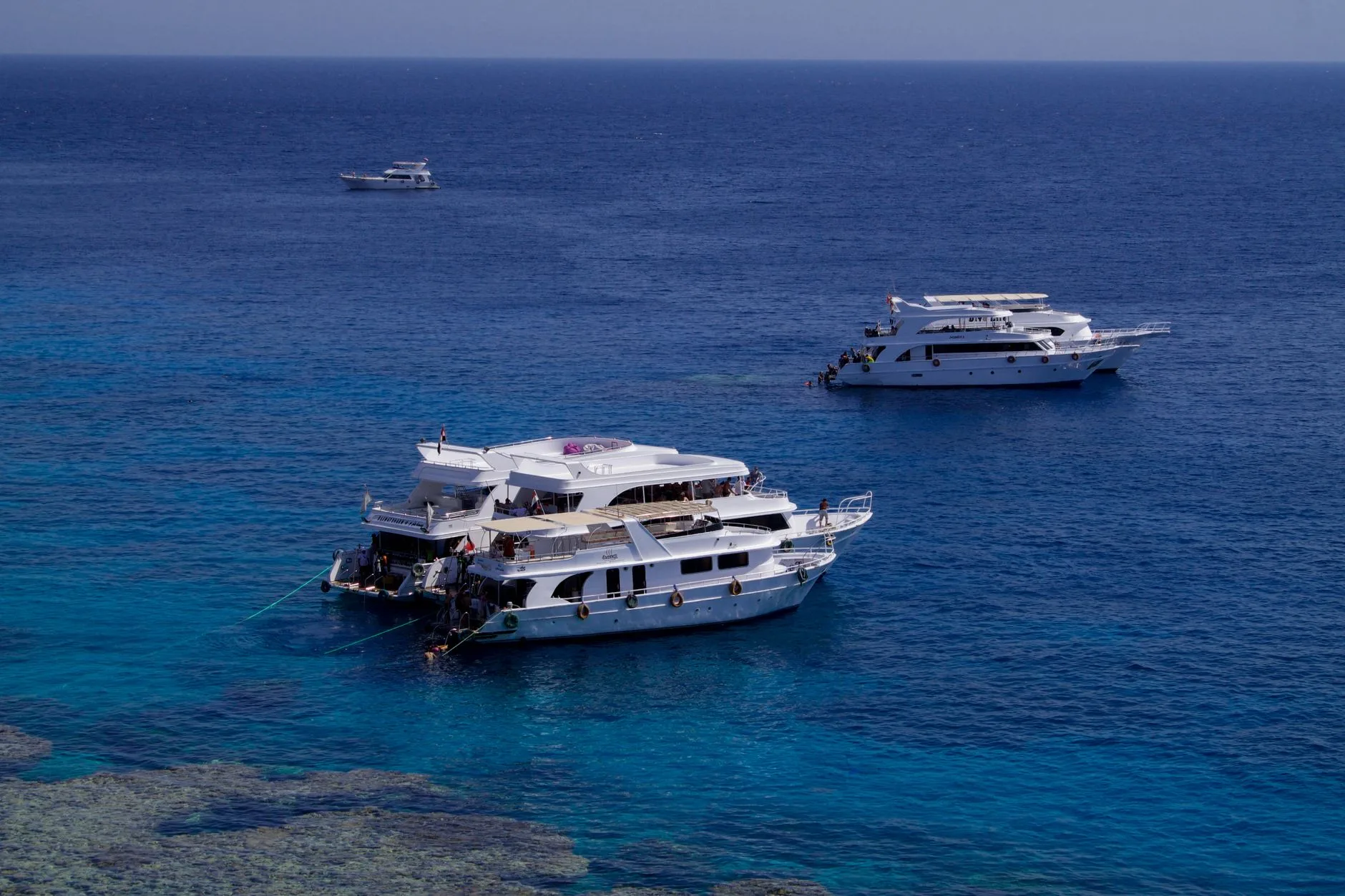 Scuba diver exploring vibrant coral reef and clear blue waters of the Red Sea