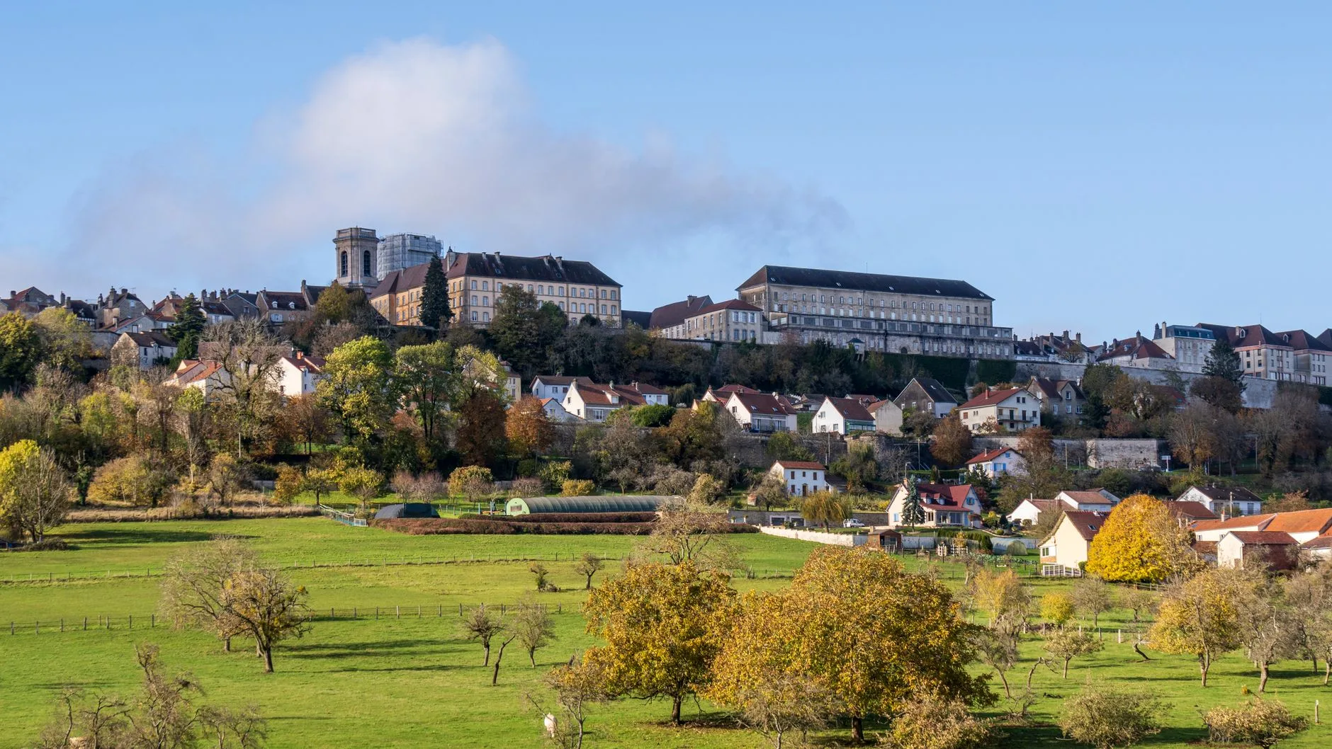 Sunlit French countryside road lined with plane trees leading to a distant stone village