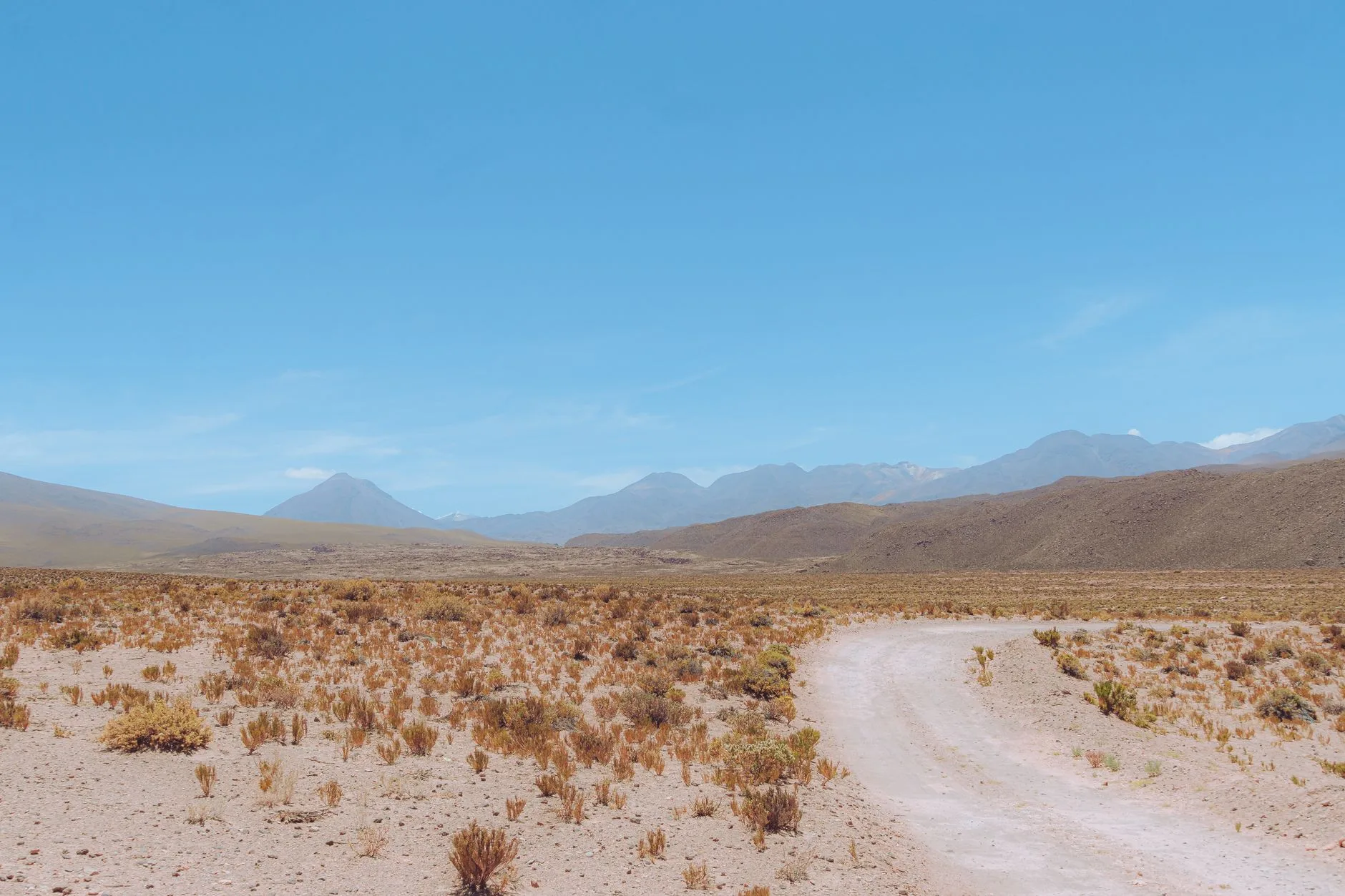 Desert salt flats meet snow-capped peaks, capturing Chile's dramatic Atacama-to-Patagonia contrast.