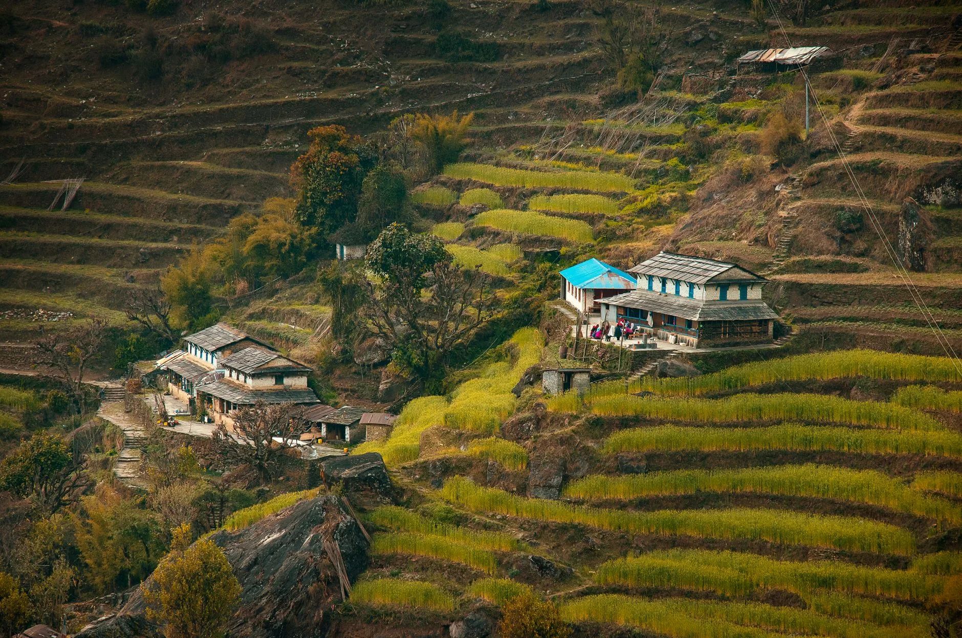 Prayer flags stretch across a quiet Himalayan trail far from Nepal's crowded trekking routes